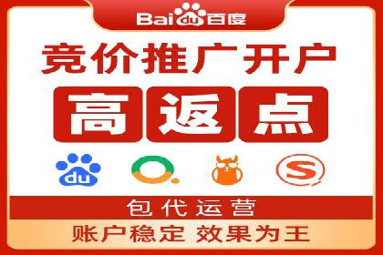 百度竞价推广运营实战技巧与经典案例剖析